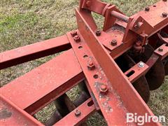 IMG_2844.jpeg