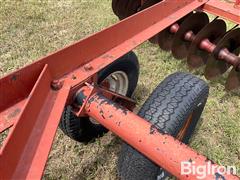 IMG_2870.jpeg