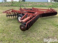 IMG_2825.jpeg