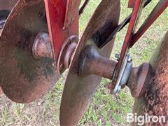IMG_2831.jpeg