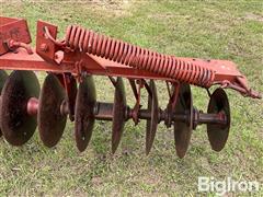 IMG_2857.jpeg