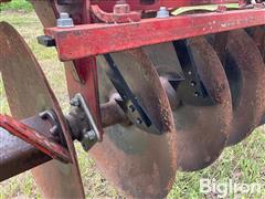 IMG_2833.jpeg