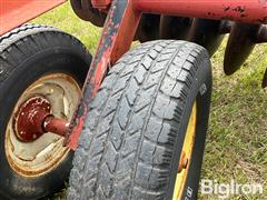IMG_2880.jpeg