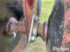 IMG_2830.jpeg