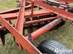 IMG_2875.jpeg
