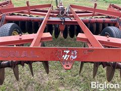 IMG_2881.jpeg