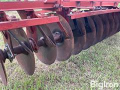 IMG_2832.jpeg