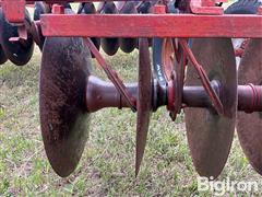IMG_2851.jpeg