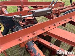 IMG_2845.jpeg