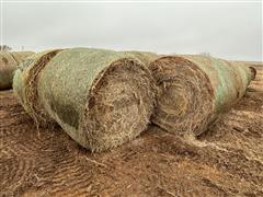 34 Bales 2023 CRP Hay 