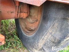 IMG_1110.jpeg
