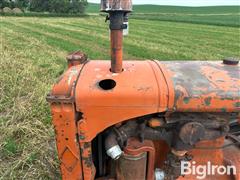 IMG_1048.jpeg