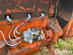 IMG_1056.jpeg