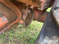 IMG_1085.jpeg