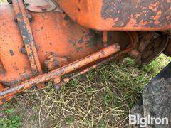 IMG_1084.jpeg