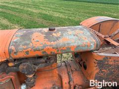 IMG_1047.jpeg