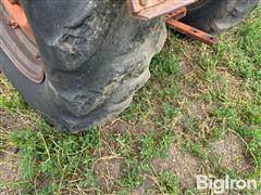 IMG_1107.jpeg