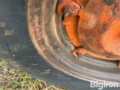 IMG_1104.jpeg