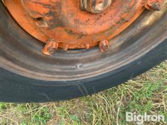 IMG_1111.jpeg