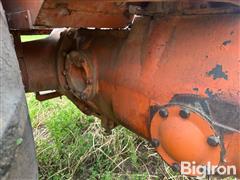 IMG_1066.jpeg
