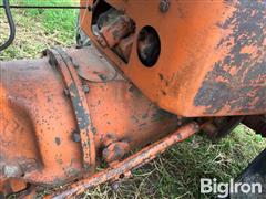 IMG_1087.jpeg
