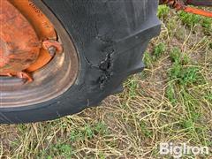 IMG_1113.jpeg