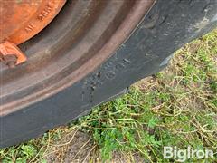 IMG_1101.jpeg