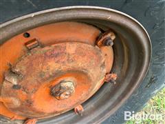 IMG_1105.jpeg