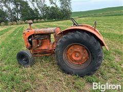 IMG_1043.jpeg
