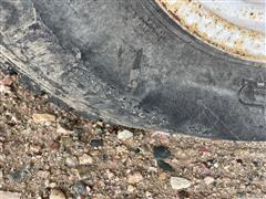 E0935F92-FFC0-445B-83E7-C52E1814D4C8.jpeg