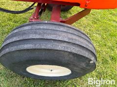 IMG_8379 2.JPG