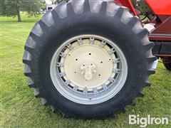 IMG_8380 2.JPG