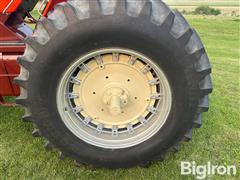IMG_8391 2.JPG