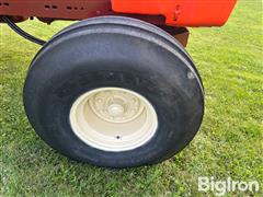 IMG_8378 2.JPG