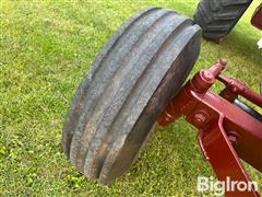 IMG_8377 2.JPG