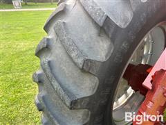IMG_8388 2.JPG