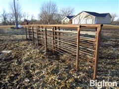 Freestanding 24' Steel Livestock Panels 