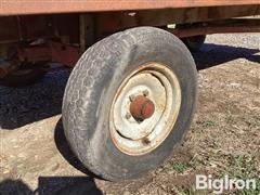 IMG_2958.jpeg