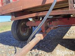 IMG_2954.jpeg