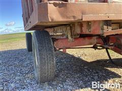 IMG_2976.jpeg