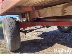 IMG_2961.jpeg