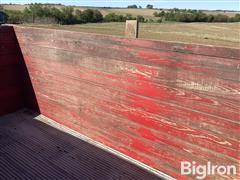 IMG_2986.jpeg