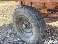 IMG_2972.jpeg
