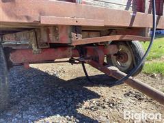 IMG_2977.jpeg