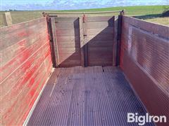 IMG_2981.jpeg