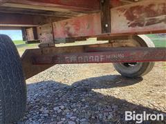 IMG_2973.jpeg
