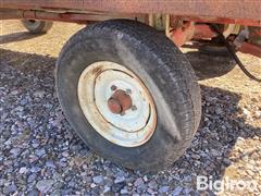 IMG_2979.jpeg