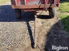 IMG_2942.jpeg