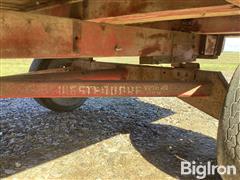 IMG_2962.jpeg