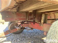 IMG_2959.jpeg